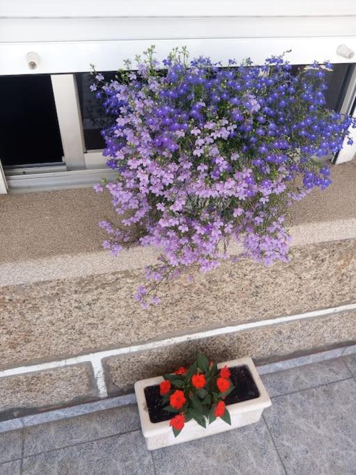 Precioso Apartamento En San Vicente De O Grove San Vicente do Grove Luaran gambar